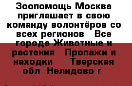 Зоопомощь.Москва приглашает в свою команду волонтёров со всех регионов - Все города Животные и растения » Пропажи и находки   . Тверская обл.,Нелидово г.